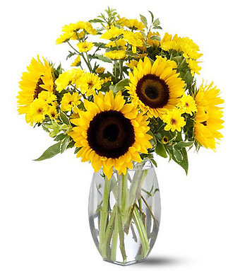Sunflowers Bright