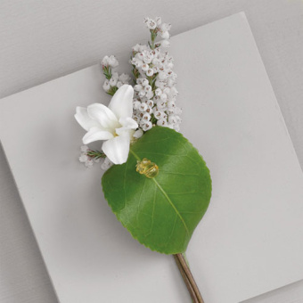 Boutonniere35